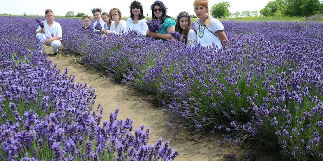 O zi cu parfum de&nbsp;lavandă